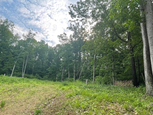LOTS4, 5 Anderson Hill Ln, Boyceville, WI 54725