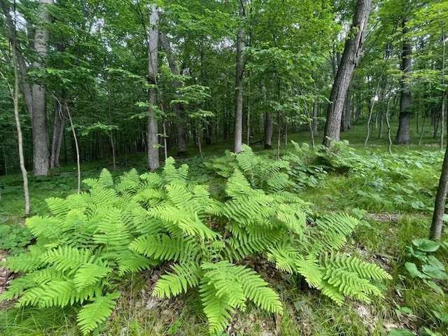 LOTS4, 5 Anderson Hill Ln, Boyceville, WI 54725