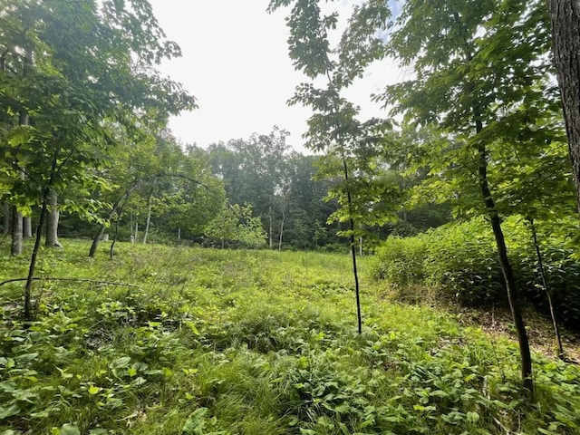 LOTS4, 5 Anderson Hill Ln, Boyceville, WI 54725