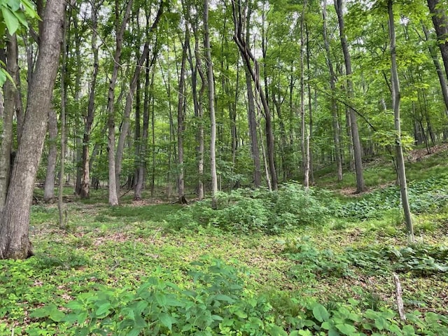 LOTS4, 5 Anderson Hill Ln, Boyceville, WI 54725