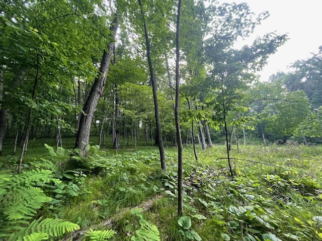 LOTS4, 5 Anderson Hill Ln, Boyceville, WI 54725