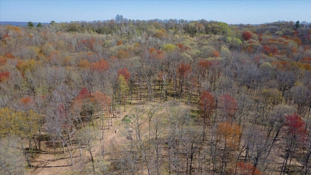 LOTS4, 5 Anderson Hill Ln, Boyceville, WI 54725