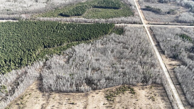 TBD County Road 14, Littlefork, MN 56653