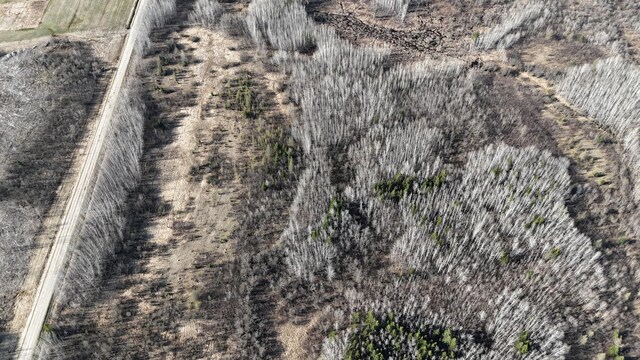 TBD County Road 14, Littlefork, MN 56653