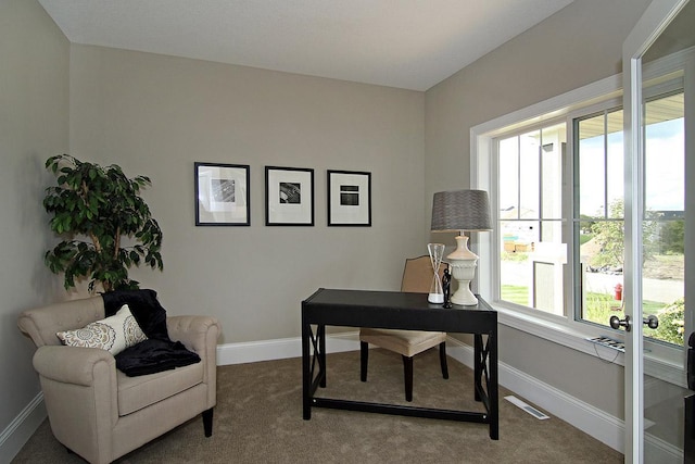 19587 Hammock Ave, Lakeville, MN 55044 - carpeted office space featuring baseboards