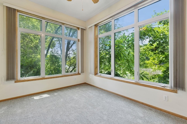 3819 Stonehaven Ct, Anoka, MN 55303 - photo 4
