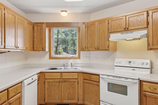 3819 Stonehaven Ct, Anoka, MN 55303 - photo 20