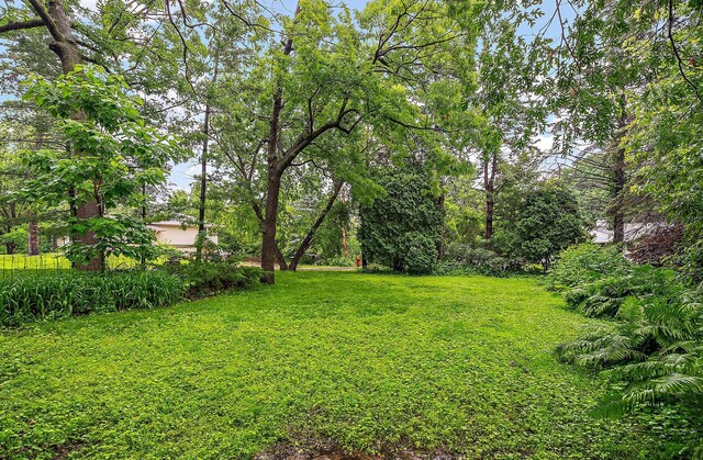 5241 Edenmoor St, Edina, MN 55436 - photo 34
