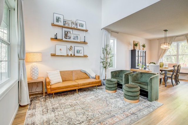 living area featuring wood finished floors and baseboards