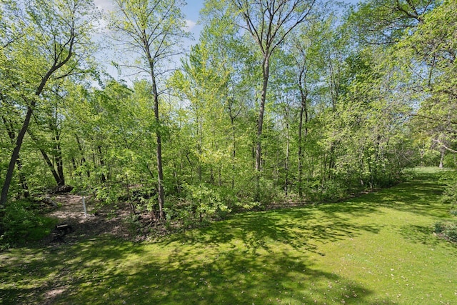 4318 153rd Ave NE, Ham Lake, MN 55304 - photo 54