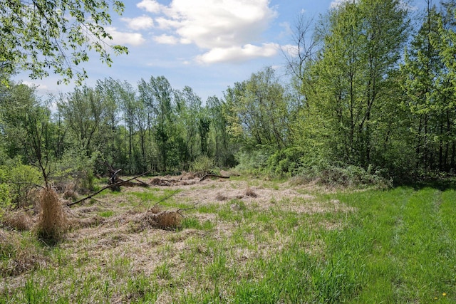 4318 153rd Ave NE, Ham Lake, MN 55304 - photo 56