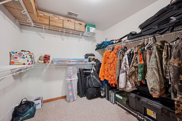 4318 153rd Ave NE, Ham Lake, MN 55304 - photo 51