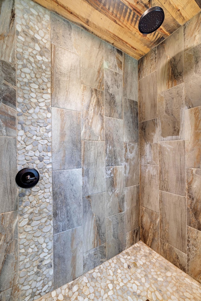 bathroom view of tiled shower