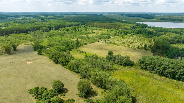aerial view of a large body of water and a heavily wooded area