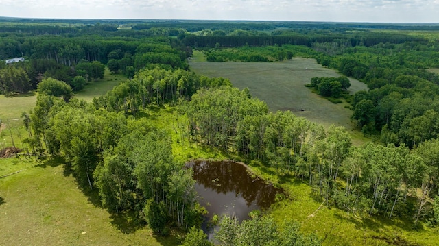 aerial view of a large body of water and a forest