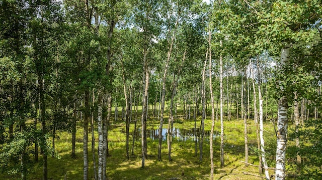 view of nature