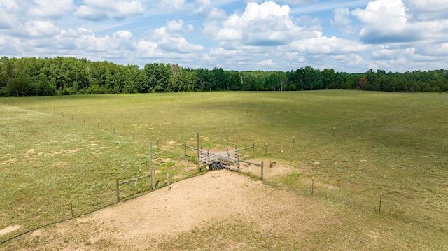 view of yard featuring a view of rural / pastoral area and a forest view