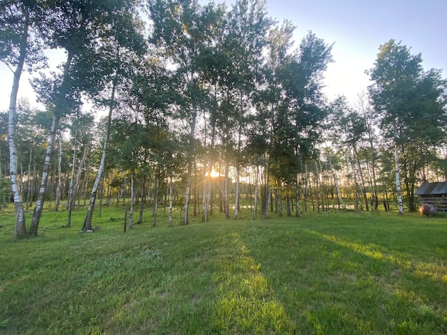 view of grassy yard