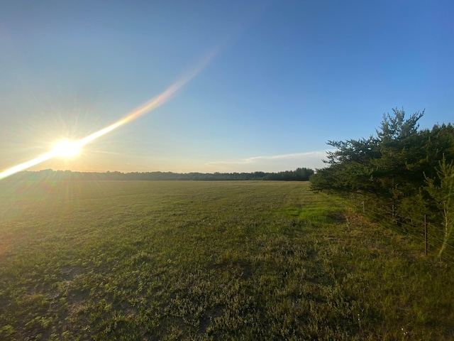 view of local wilderness