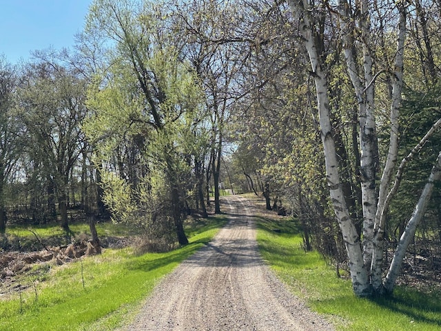 29441 108th St NW, Princeton, MN 55371 - view of dirt / gravel road