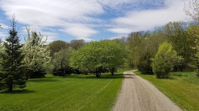 29441 108th St NW, Princeton, MN 55371 - view of dirt / gravel road
