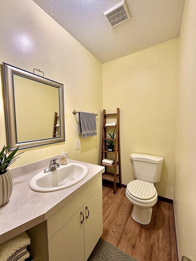 29441 108th St NW, Princeton, MN 55371 - bathroom with wood finished floors, toilet, vanity, and a textured ceiling