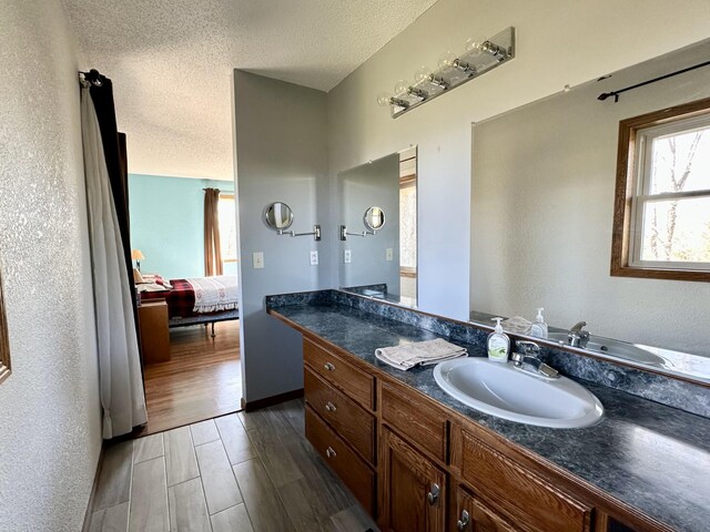 29441 108th St NW, Princeton, MN 55371 - bathroom featuring vanity, a textured ceiling, wood finished floors, and ensuite bathroom