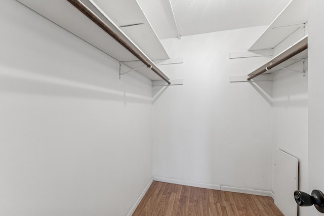 spacious closet with wood finished floors