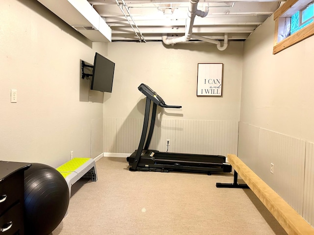 workout room featuring carpet flooring and a wainscoted wall