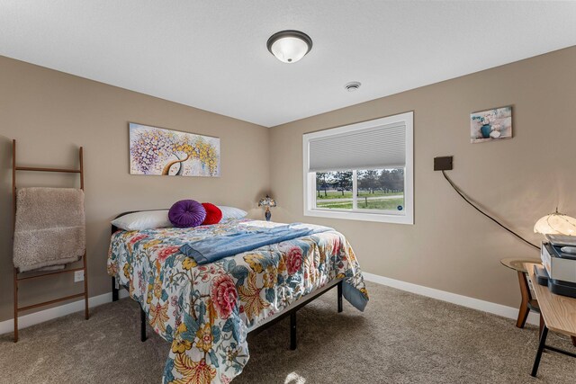38760 Maple Ct, North Branch, MN 55056 - carpeted bedroom featuring baseboards