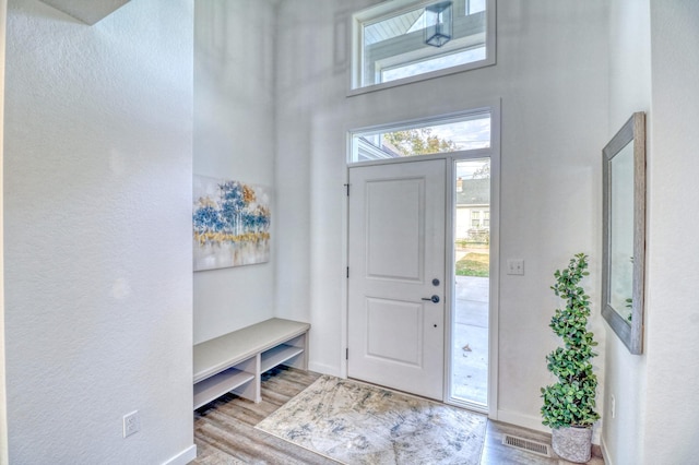 26533 Paradise Point Rd, Detroit Lakes, MN 56501 - foyer entrance with wood finished floors, a towering ceiling, baseboards, and a textured wall