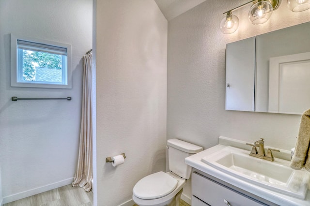 26533 Paradise Point Rd, Detroit Lakes, MN 56501 - bathroom with toilet, vanity, wood finished floors, baseboards, and a shower with shower curtain