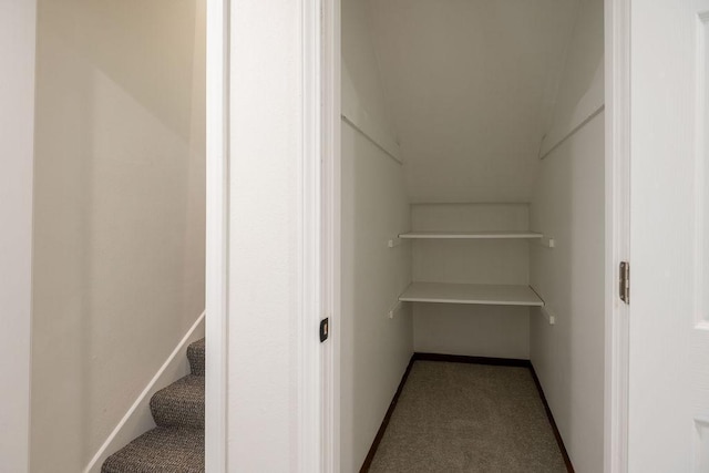 408 19th St NW, Willmar, MN 56201 - spacious closet with carpet