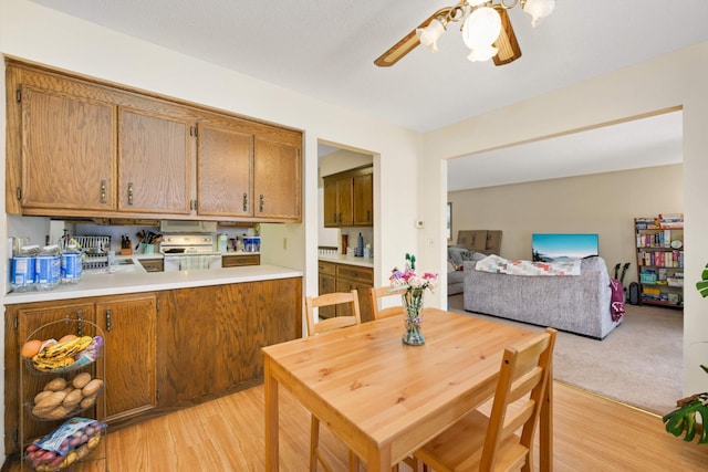 11110 Utica Ave S, Bloomington, MN 55437 - dining room featuring light wood-style floors and ceiling fan