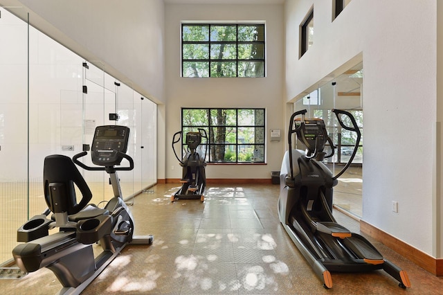 13560 Technology Dr Unit 1325, Eden Prairie, MN 55344 - workout room featuring plenty of natural light, baseboards, and a towering ceiling