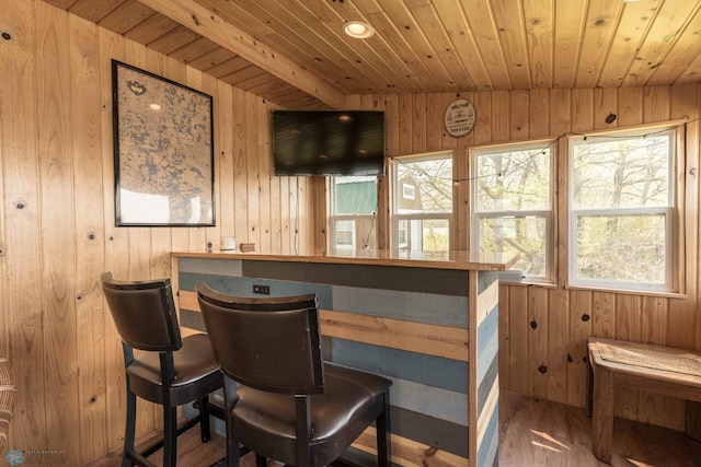 38603 Cozy Cove Rd, Dead Lake Twp, MN 56528 - bar area featuring wooden ceiling, wooden walls, wood finished floors, and plenty of natural light