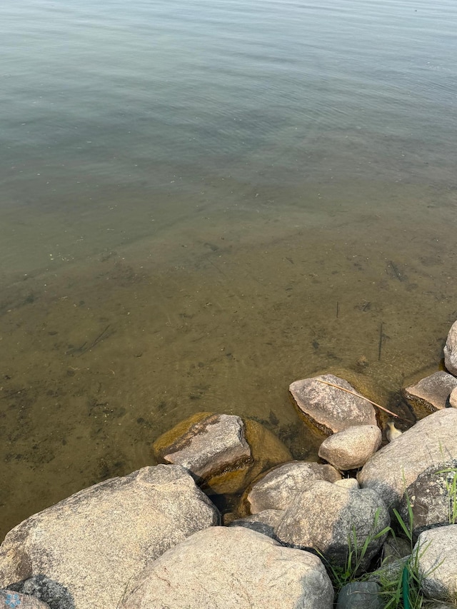 38603 Cozy Cove Rd, Dead Lake Twp, MN 56528 - water view
