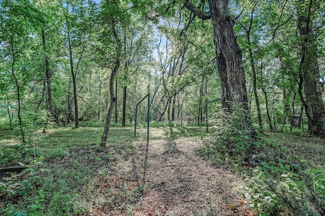 444 Vincent St, Saint Croix Falls, WI 54024 - view of wooded area