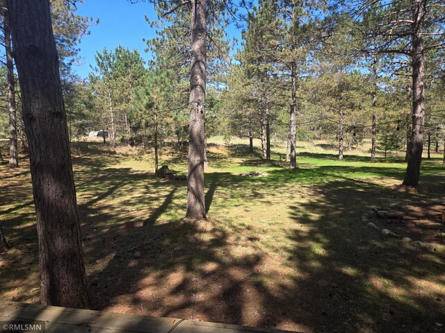 28010 Skylight Ct, Jackson Twp, WI 54893 - photo 15