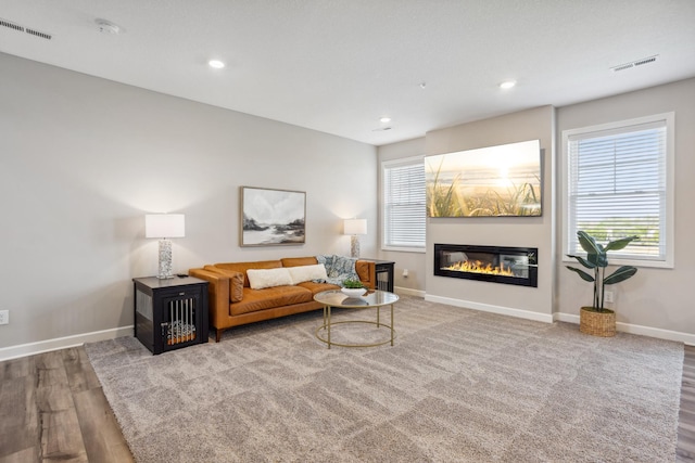 1836 Tyrone Dr, Shakopee, MN 55379 - living room featuring wood finished floors, baseboards, a glass covered fireplace, and recessed lighting