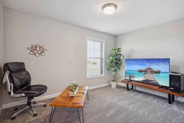 1836 Tyrone Dr, Shakopee, MN 55379 - office space featuring carpet flooring and baseboards