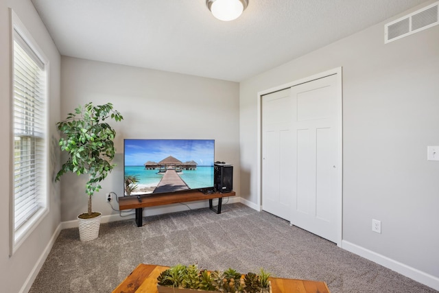 1836 Tyrone Dr, Shakopee, MN 55379 - living area with carpet and baseboards