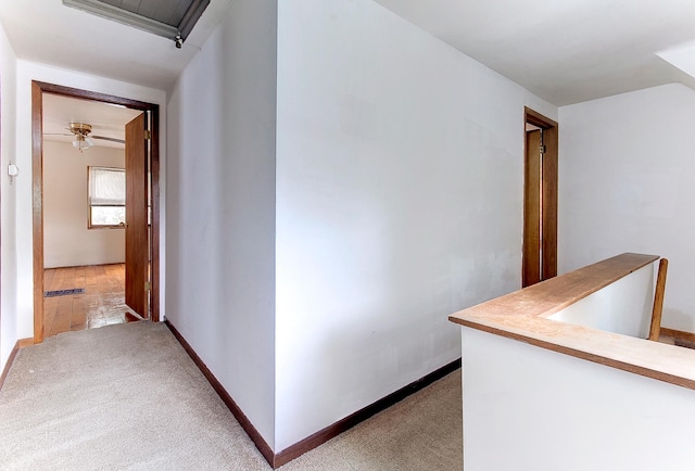 624 Main St, West Concord, MN 55985 - hallway with carpet floors and baseboards