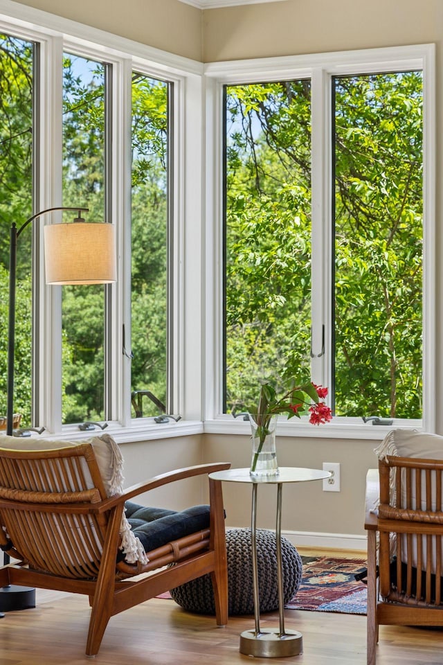 5510 Heather Dr SW, Rochester Twp, MN 55902 - view of sunroom / solarium