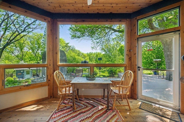 5510 Heather Dr SW, Rochester Twp, MN 55902 - sunroom / solarium featuring wood-type flooring