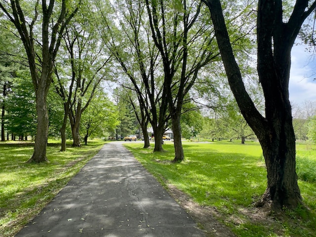 5510 Heather Dr SW, Rochester Twp, MN 55902 - view of asphalt driveway