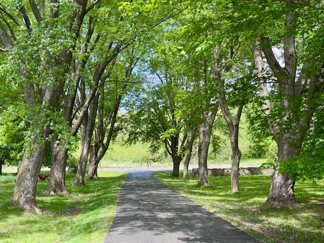 5510 Heather Dr SW, Rochester Twp, MN 55902 - view of community