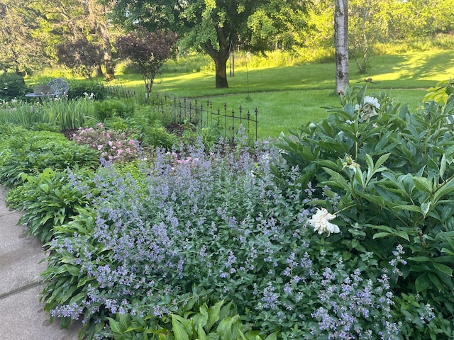 5510 Heather Dr SW, Rochester Twp, MN 55902 - view of grassy yard