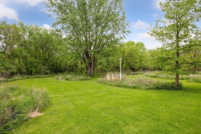 5510 Heather Dr SW, Rochester Twp, MN 55902 - photo 98