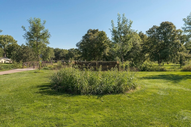 910 6th St S Unit 3, Hopkins, MN 55343 - view of green lawn